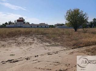 Akris Inmobiliaria - Ref: 8034